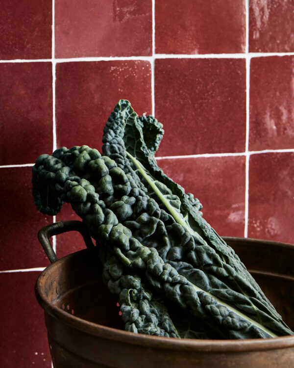 Moroccan Crimson Red Zellige Tile