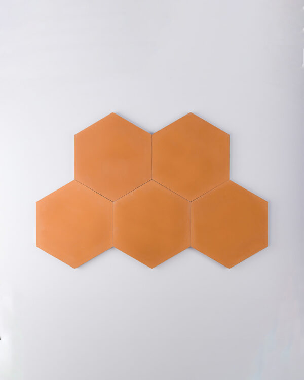 Melon Hexagon Encaustic Cement Tile