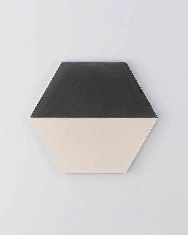 Hex Monochrome Encaustic Cement Tile