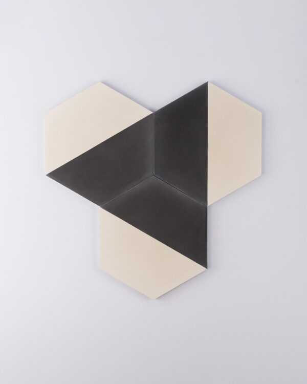 Hex Monochrome Encaustic Cement Tile