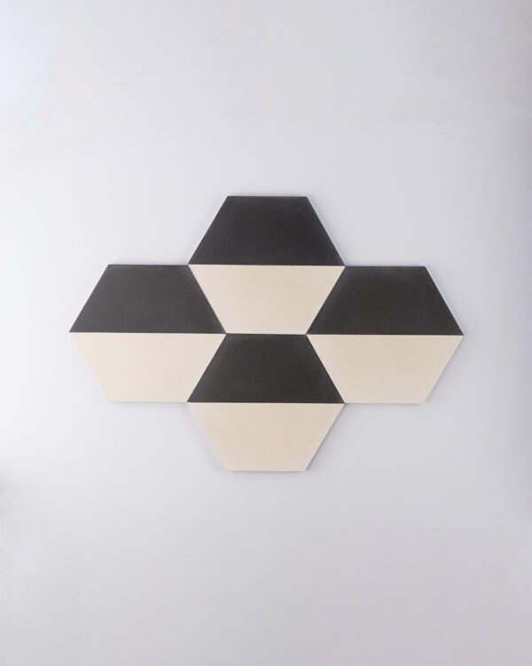 Hex Monochrome Encaustic Cement Tile